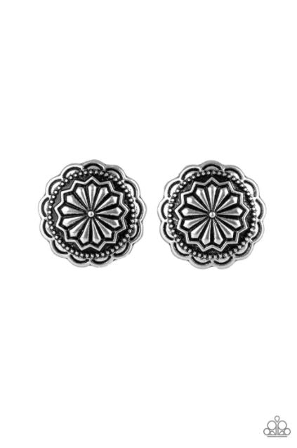 Durango Desert Silver Post Earring